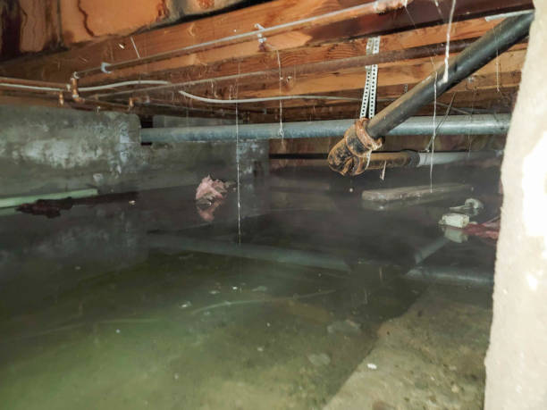 Best Emergency water damage restoration  in Grimes, IA