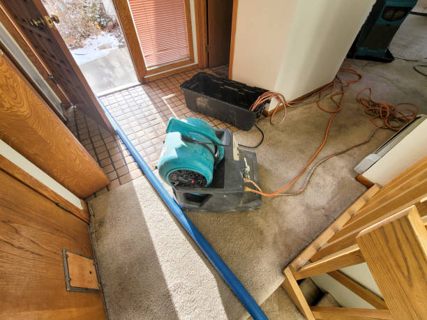 Best Professional water damage repair  in Grimes, IA