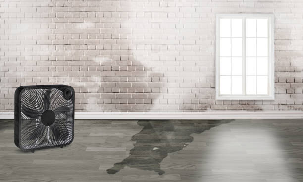 , IA Water damage restoration Company