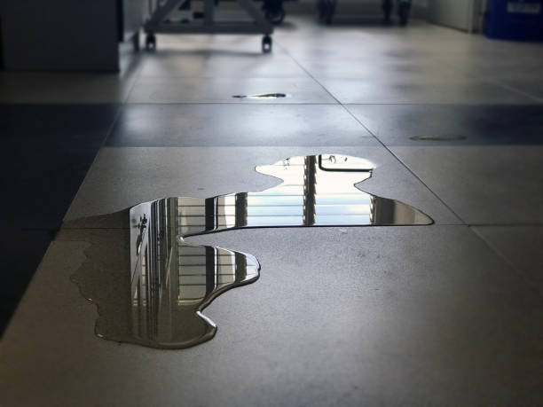 Best 24-hour water damage restoration  in Grimes, IA