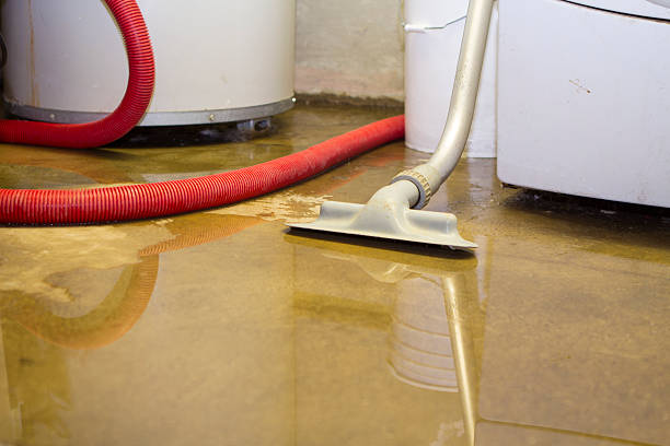 Best Water damage restoration company  in Grimes, IA